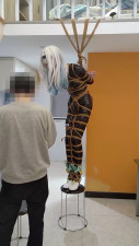 Bound & Exposed: Shadows, Silk & Tiger's Play