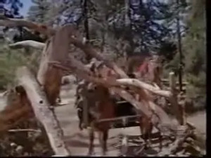 Daniel Boone: Traitor