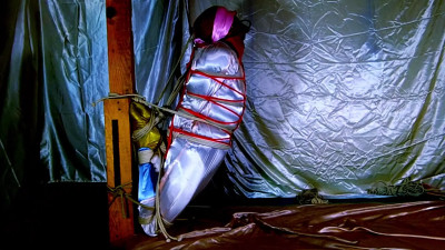 Hogtied and half suspended on a pole
