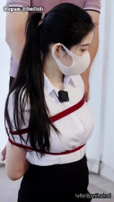 Bound Desire: Masked Intrigue & Rope Play