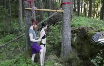 Swords and shibari