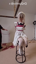 CD Training the Maid in the Rope House