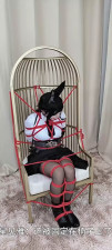 Bound Beauty & Kitty Play: Sexy Harness & Bondage