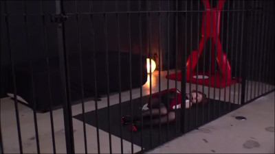 Cage Bondage: Japanese Beauty in Fiery Red Passion