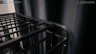 Bound & In Chains: Dark Desires Unleashed