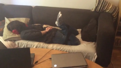 Melina McAwesome hogtied and tickled