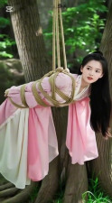 Chinese princess tied up 3