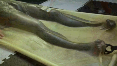 femboy vacbed