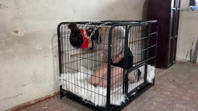 Cage Bondage