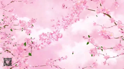 Bondage Bliss: Silk, Cherry Blossoms & Pure Desire
