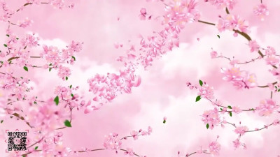 Bound by Desire: Elegant Bondage & Seduction