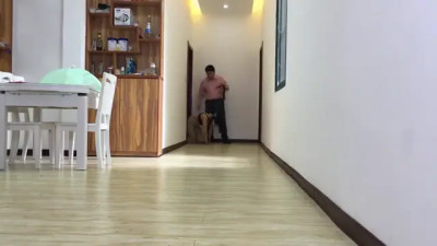 Beauty Doggy Training