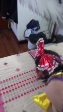 Reimu Hakurei in swimsuit hogtied, CBT and beaten up