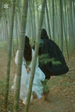 Chinese princess bondage 8