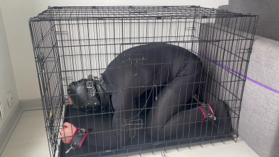 Sissy slave caged