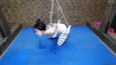 Roped & Restrained: Forbidden Delights